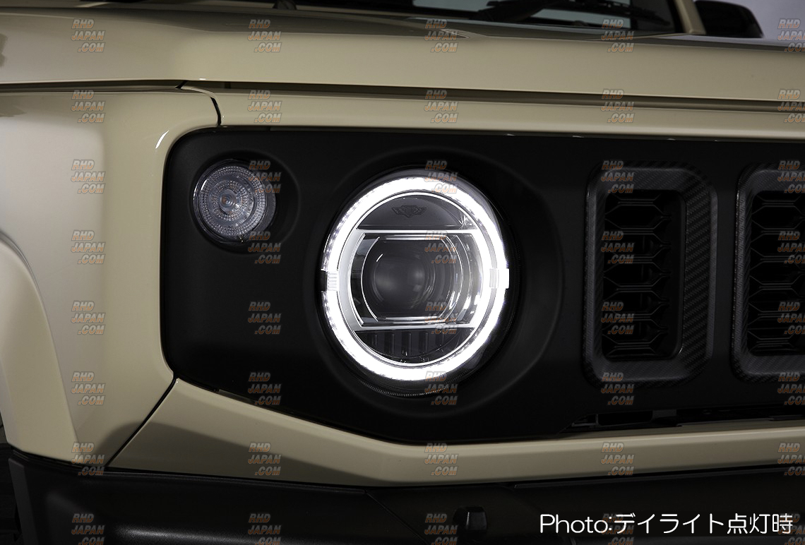 Revier Reiz Head Light Version 2 with LED Projector for OEM LED